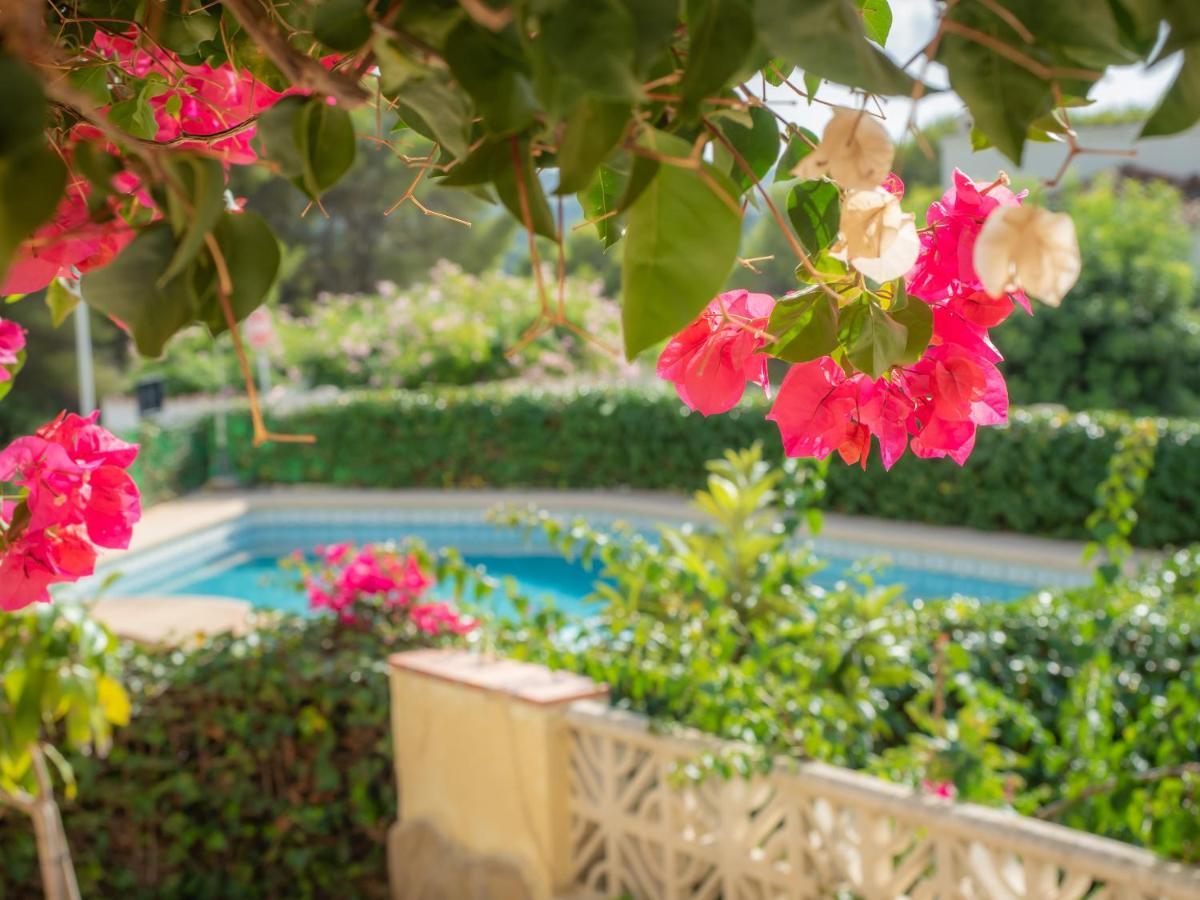 Authentic Groundfloor Apartment In Beautiful Villa, خافييا المظهر الخارجي الصورة